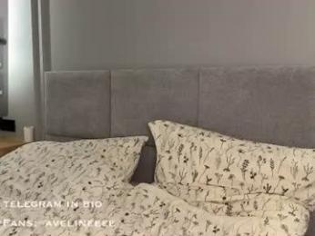 avelineee webcam chaturbate model stream image
