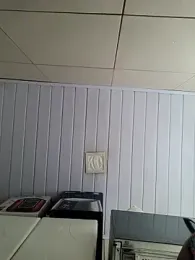 ppatriciarabello webcam model stream image