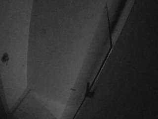 voyeurcam-casa-salsa-bathroom-7 webcam model stream image