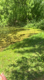 Laoquedad webcam model stream image