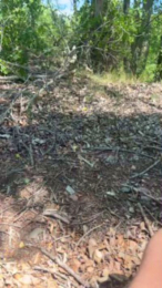 Laoquedad webcam cam4 model stream image