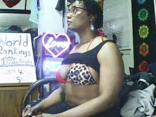 gardeniafields webcam model stream image