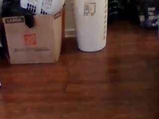 dtxdeliciouscharm webcam model stream image