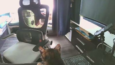 zeenfan webcam model stream image