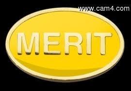 merit73 webcam model stream image
