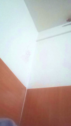 TONI_XL webcam cam4 model stream image