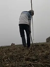 ThethunderPo webcam model stream image