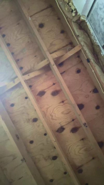 BWCBENZ webcam model stream image