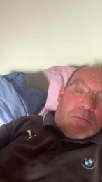 Bullforcow webcam model stream image