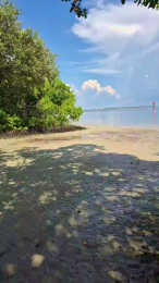 justmeno1963 webcam model stream image