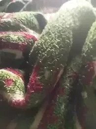 hrrounsb99 webcam model stream image