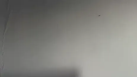 aliktasty webcam model stream image