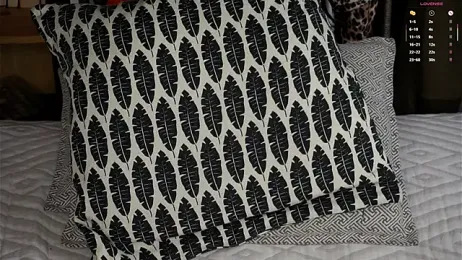 DarylBarks webcam model stream image