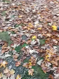 maleesa webcam stripchat model stream image