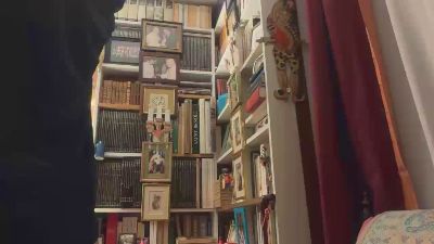 LionRequiem690 webcam model stream image