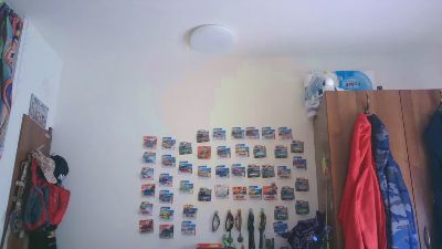 wien440 webcam model stream image