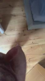 StephanG webcam model stream image