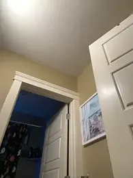 Tikalalin webcam model stream image