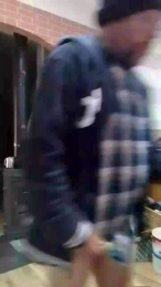 nakedworkbear2 webcam model stream image