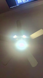 LokitaBby webcam model stream image