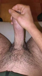 Gallumbero2 webcam model stream image