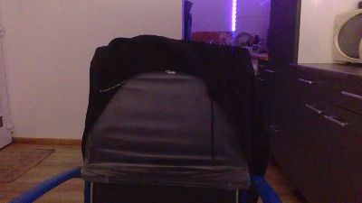 BusyGirl7 webcam model stream image