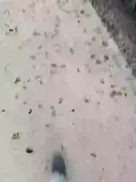 chootkapyasa007 webcam model stream image