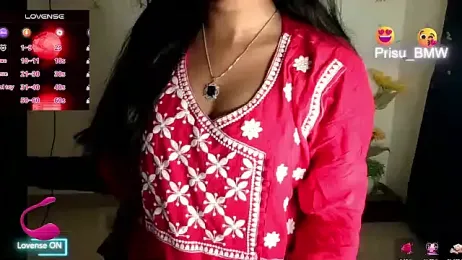 Prisu_BMW webcam model stream image