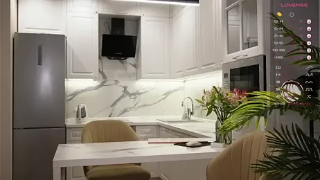 Sofa_01 webcam model stream image