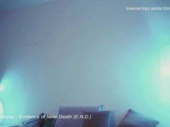 STANOVAYA300KG webcam model stream image