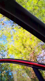 fragile7883 webcam model stream image