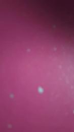 alge18 webcam cam4 model stream image