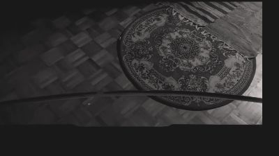 dcdomo webcam model stream image