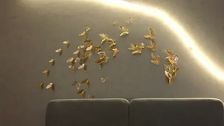 BBabyShark webcam model stream image