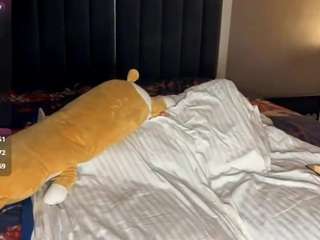 cassisirois webcam model stream image