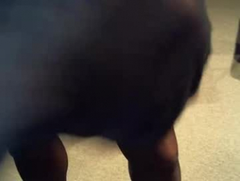 nylonslutbitch webcam model stream image