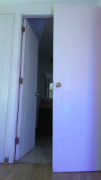 karenbrunette webcam model stream image