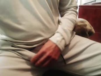 licam webcam model stream image