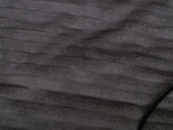 single_fox_4u webcam model stream image