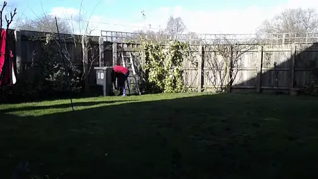 CamillaCreampie webcam model stream image