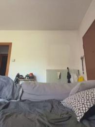 Turtle__cut webcam model stream image