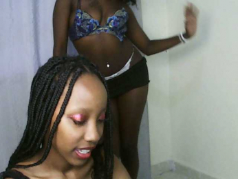 snowfox254 webcam model stream image