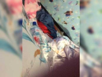 Nick_Bonya webcam model stream image