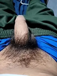 Aaia93 webcam model stream image