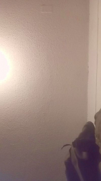 Tokiiooo webcam model stream image