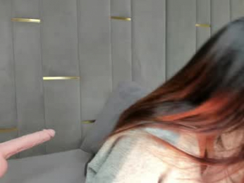 evalims webcam model stream image