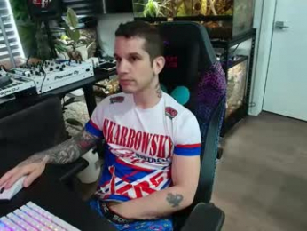 pierrefitch webcam model stream image
