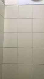 soypeludoword webcam model stream image