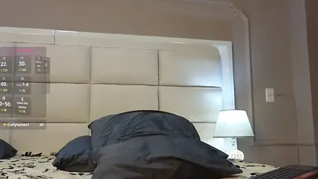 FreyrVik webcam model stream image