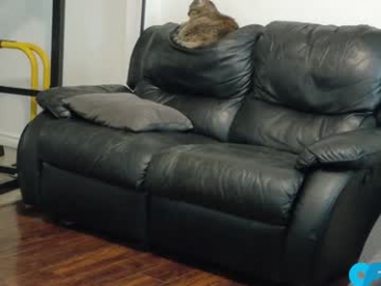 thekodyy webcam model stream image